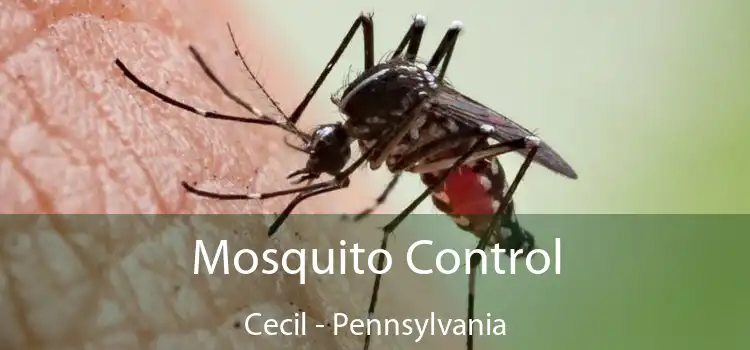 Mosquito Control Cecil - Pennsylvania