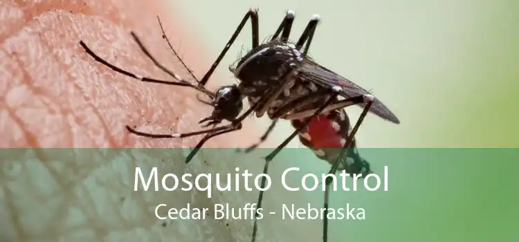 Mosquito Control Cedar Bluffs - Nebraska