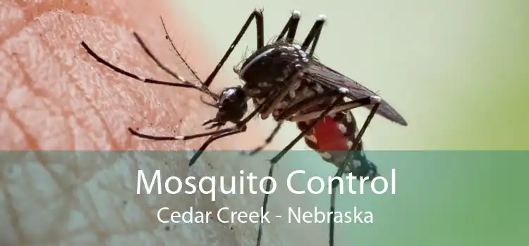 Mosquito Control Cedar Creek - Nebraska