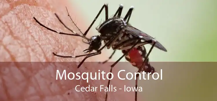 Mosquito Control Cedar Falls - Iowa