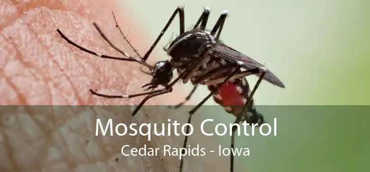 Mosquito Control Cedar Rapids - Iowa