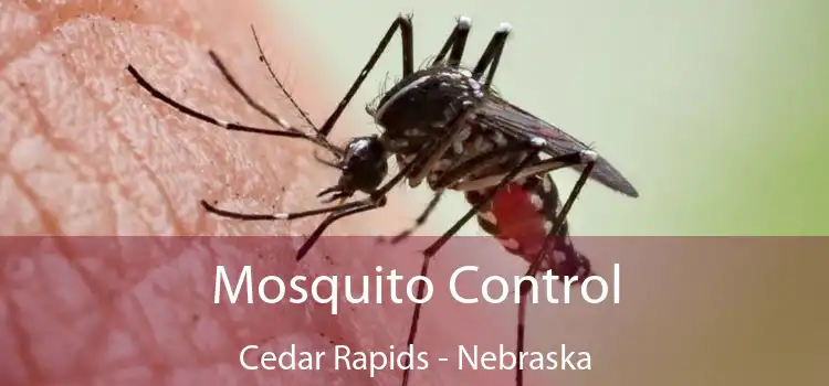 Mosquito Control Cedar Rapids - Nebraska