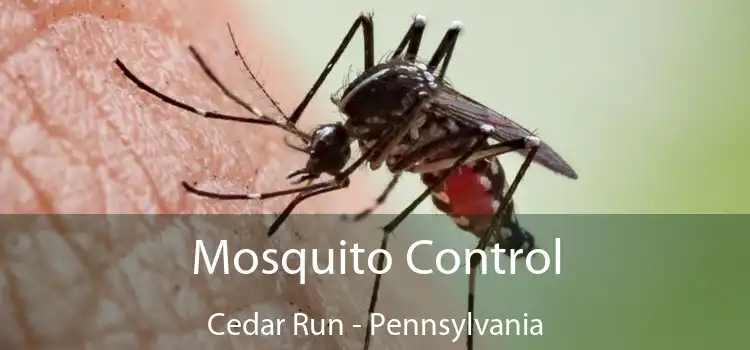 Mosquito Control Cedar Run - Pennsylvania