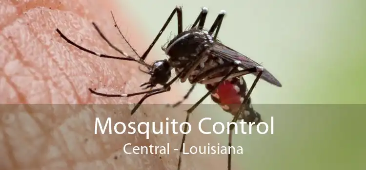 Mosquito Control Central - Louisiana