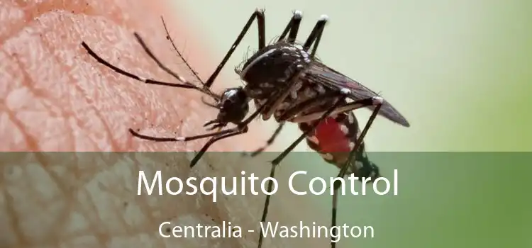 Mosquito Control Centralia - Washington