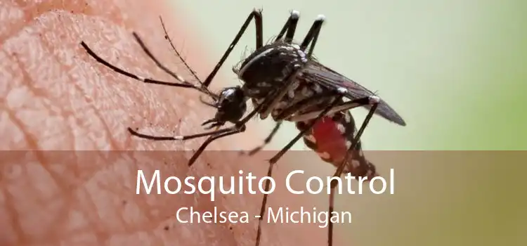 Mosquito Control Chelsea - Michigan