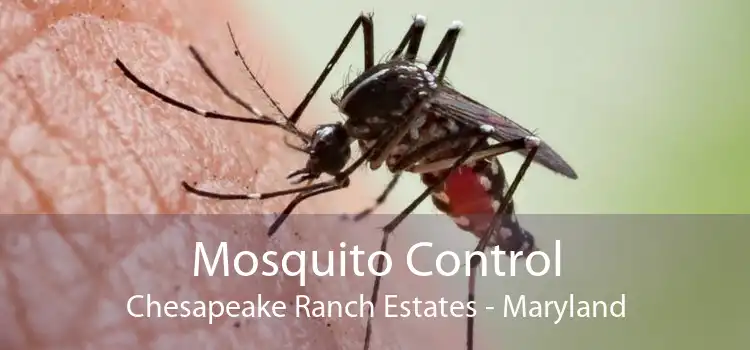 Mosquito Control Chesapeake Ranch Estates - Maryland