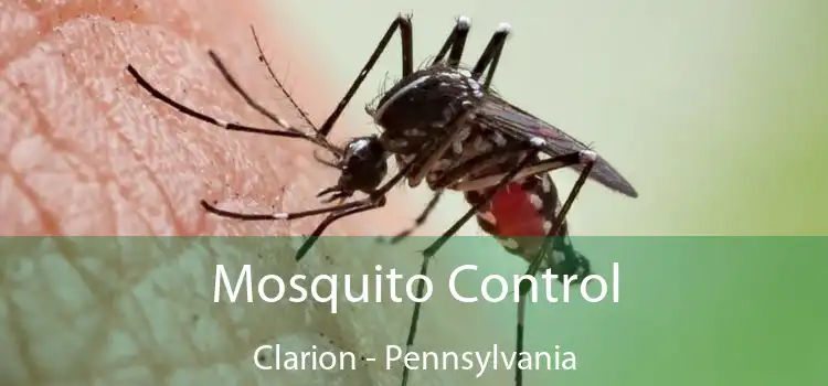 Mosquito Control Clarion - Pennsylvania