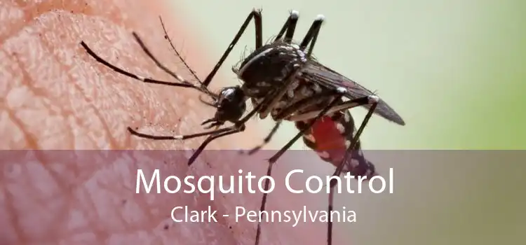 Mosquito Control Clark - Pennsylvania