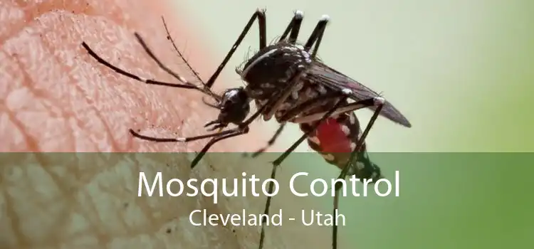 Mosquito Control Cleveland - Utah