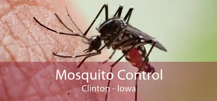 Mosquito Control Clinton - Iowa