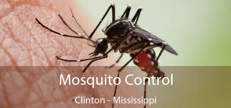 Mosquito Control Clinton - Mississippi