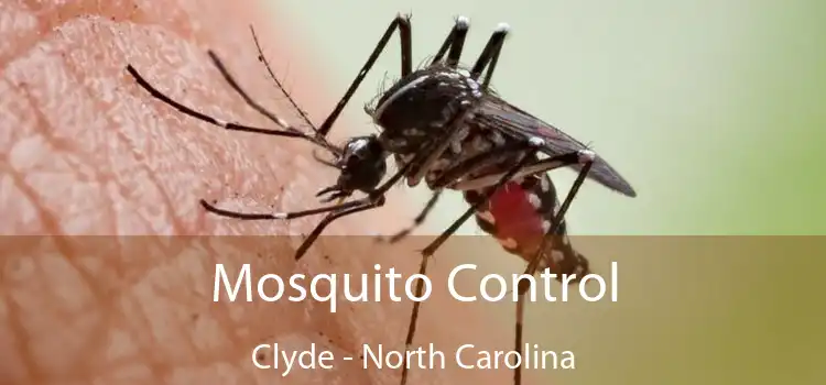 Mosquito Control Clyde - North Carolina