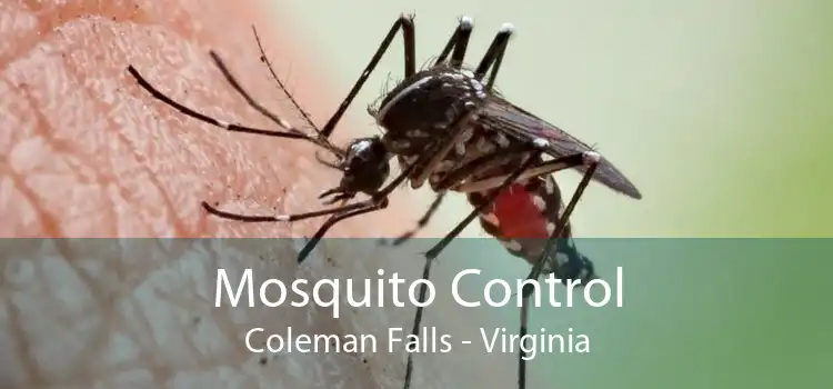 Mosquito Control Coleman Falls - Virginia