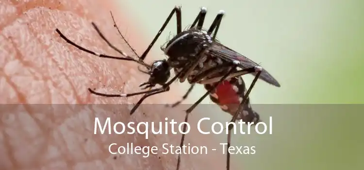 Mosquito Control College Station - Texas