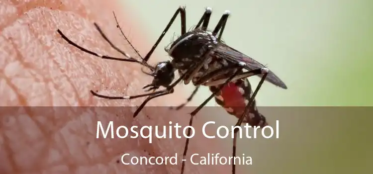 Mosquito Control Concord - California