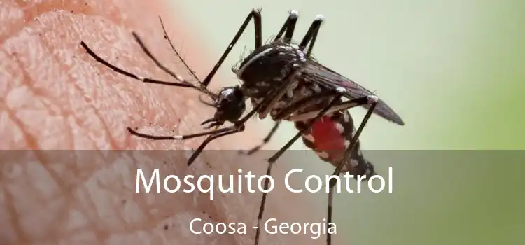 Mosquito Control Coosa - Georgia