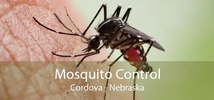 Mosquito Control Cordova - Nebraska