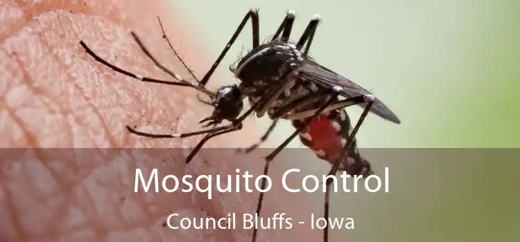 Mosquito Control Council Bluffs - Iowa