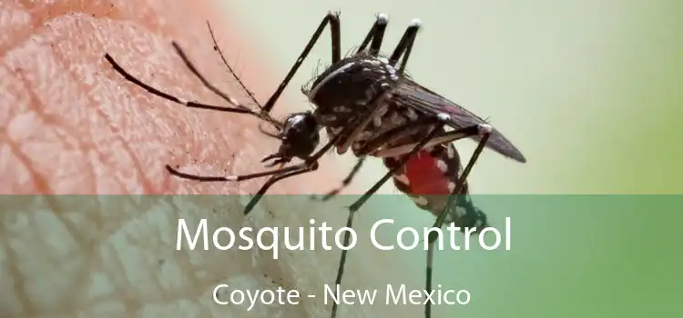 Mosquito Control Coyote - New Mexico