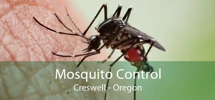 Mosquito Control Creswell - Oregon