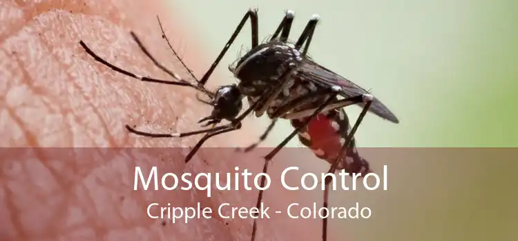 Mosquito Control Cripple Creek - Colorado