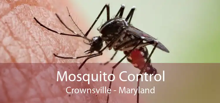Mosquito Control Crownsville - Maryland