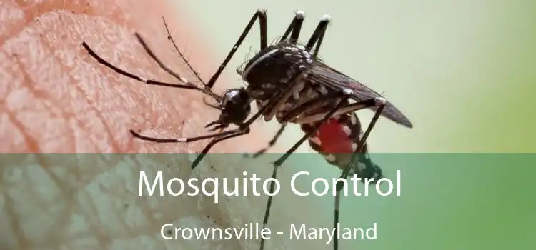 Mosquito Control Crownsville - Maryland