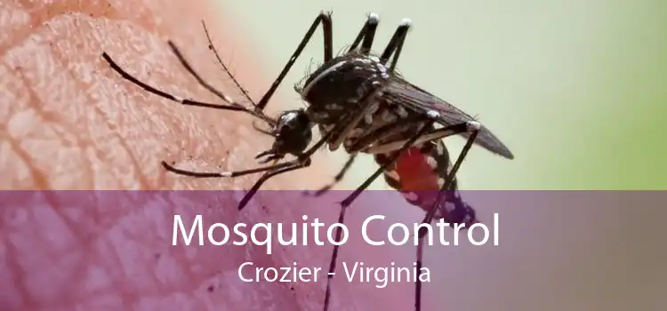 Mosquito Control Crozier - Virginia
