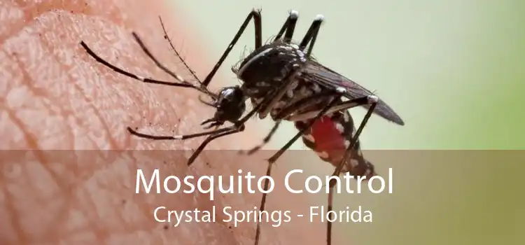 Mosquito Control Crystal Springs - Florida