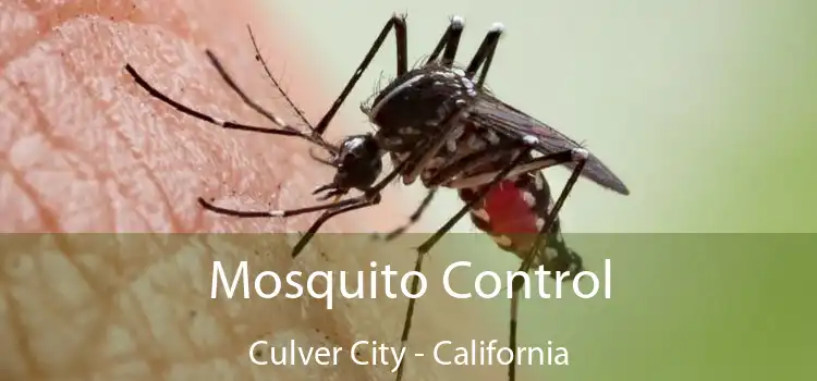 Mosquito Control Culver City - California