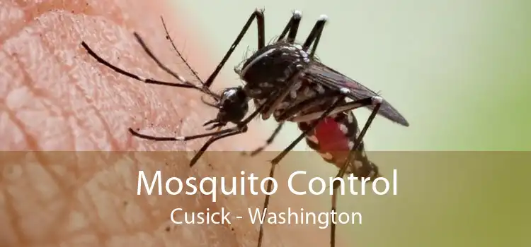 Mosquito Control Cusick - Washington