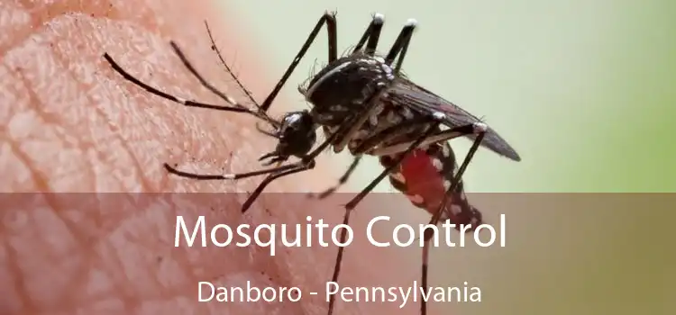 Mosquito Control Danboro - Pennsylvania