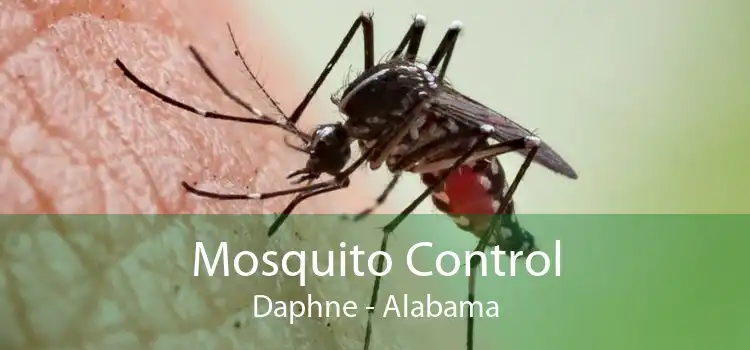 Mosquito Control Daphne - Alabama