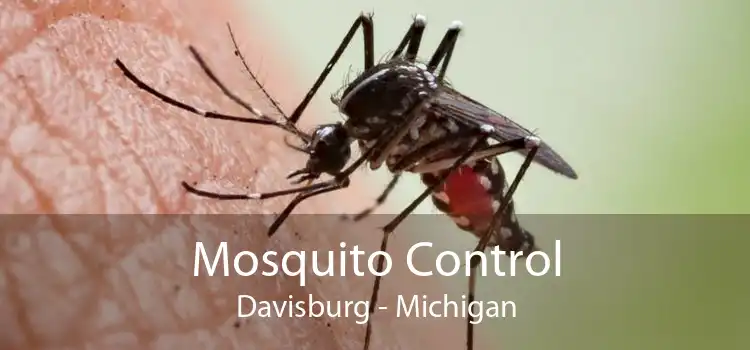 Mosquito Control Davisburg - Michigan