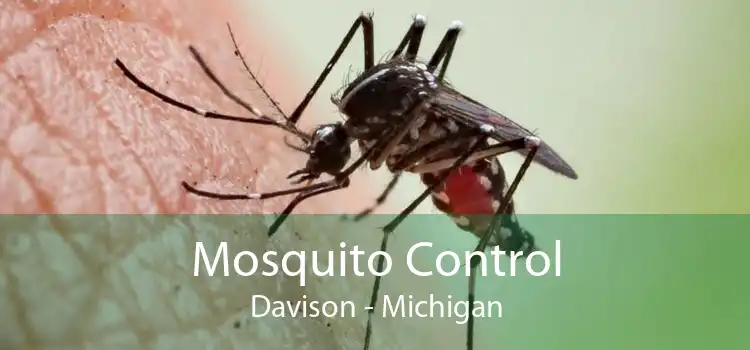 Mosquito Control Davison - Michigan