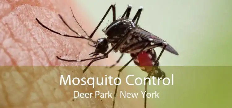 Mosquito Control Deer Park - New York