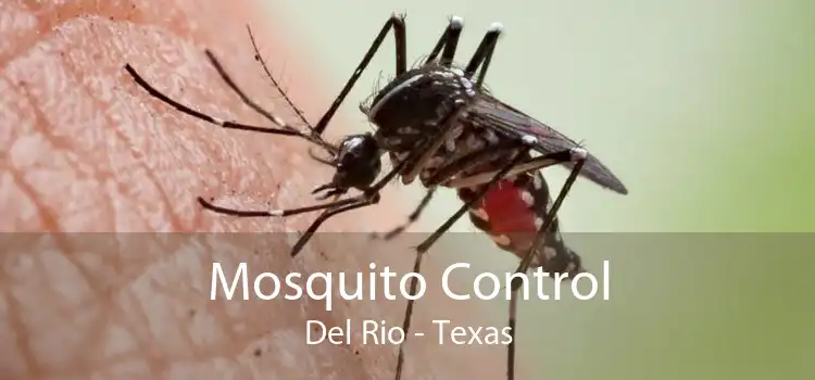 Mosquito Control Del Rio - Texas
