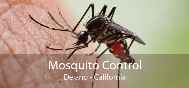 Mosquito Control Delano - California
