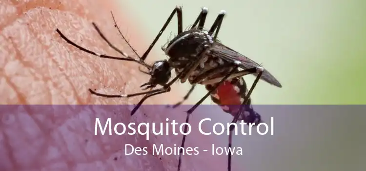 Mosquito Control Des Moines - Iowa