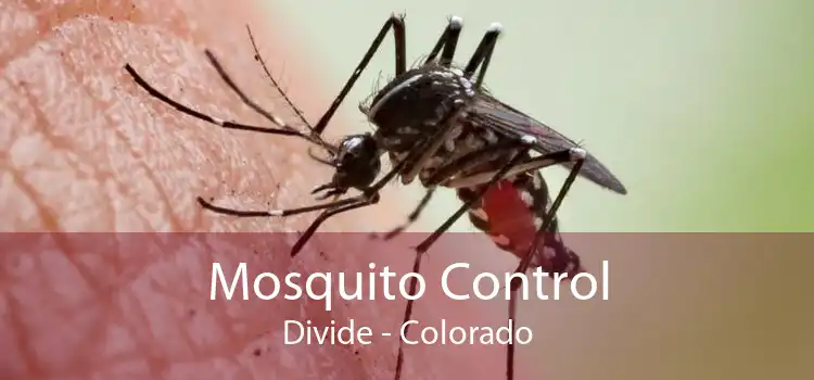 Mosquito Control Divide - Colorado