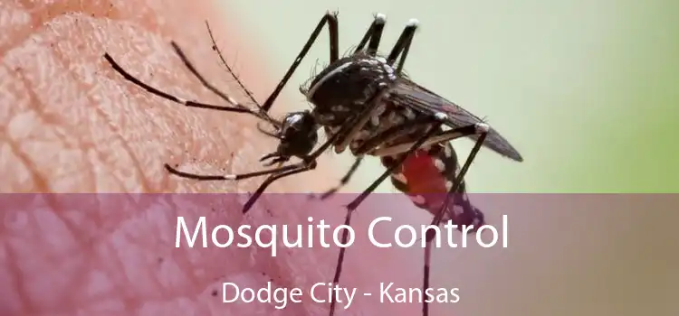 Mosquito Control Dodge City - Kansas