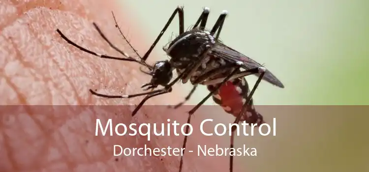 Mosquito Control Dorchester - Nebraska