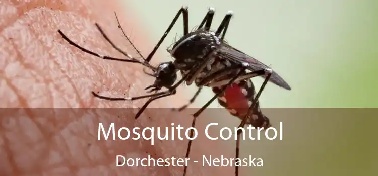 Mosquito Control Dorchester - Nebraska