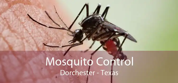 Mosquito Control Dorchester - Texas