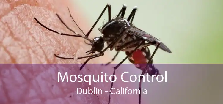 Mosquito Control Dublin - California