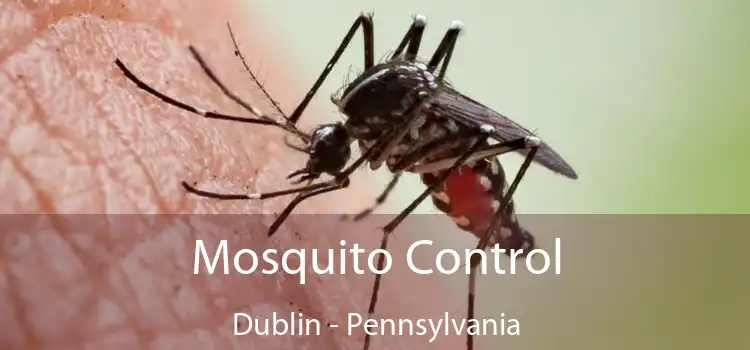 Mosquito Control Dublin - Pennsylvania