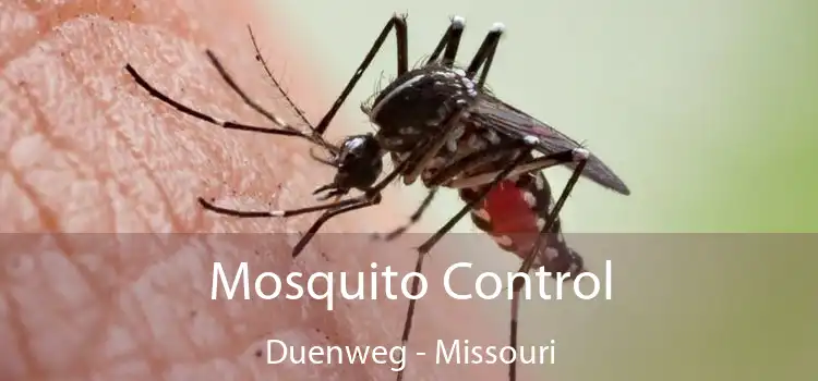 Mosquito Control Duenweg - Missouri