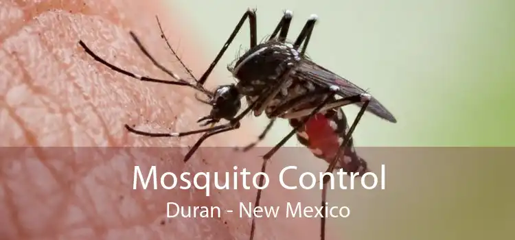 Mosquito Control Duran - New Mexico