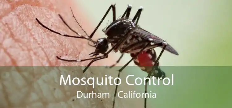 Mosquito Control Durham - California